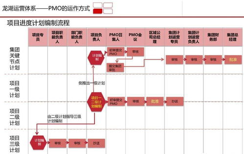 龍湖集團(tuán)高效PMO項目管理體系研究與實踐